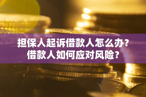 北京担保人起诉借款人怎么办？借款人如何应对风险？
