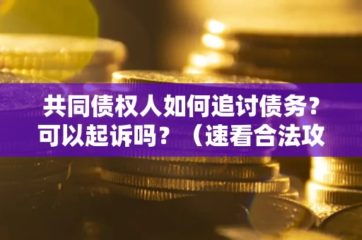 北京共同债权人如何追讨债务？可以起诉吗？（速看合法攻略）